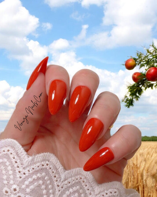 press-on-nails-brun-rouge-couleur-unie-sienna