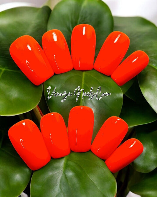 press-on-nails-orange-fluo-zest-orangy-venuza-nails