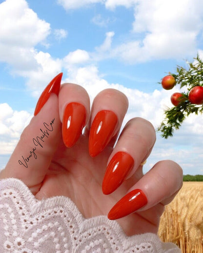 press-on-nails-brun-rouge-couleur-unie-sienna