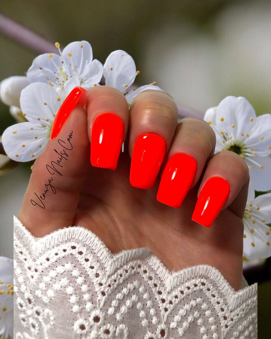 press-on-nails-orange-fluo-zest-orangy-venuza-nails