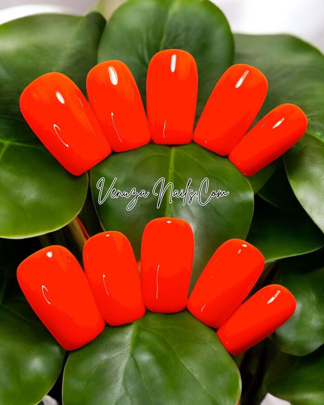 press-on-nails-orange-fluo-zest-orangy-venuza-nails